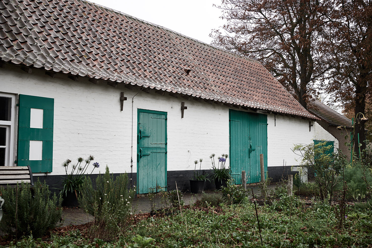 47-Paardenvissers-Navigo-2883-Kristina-Steiner