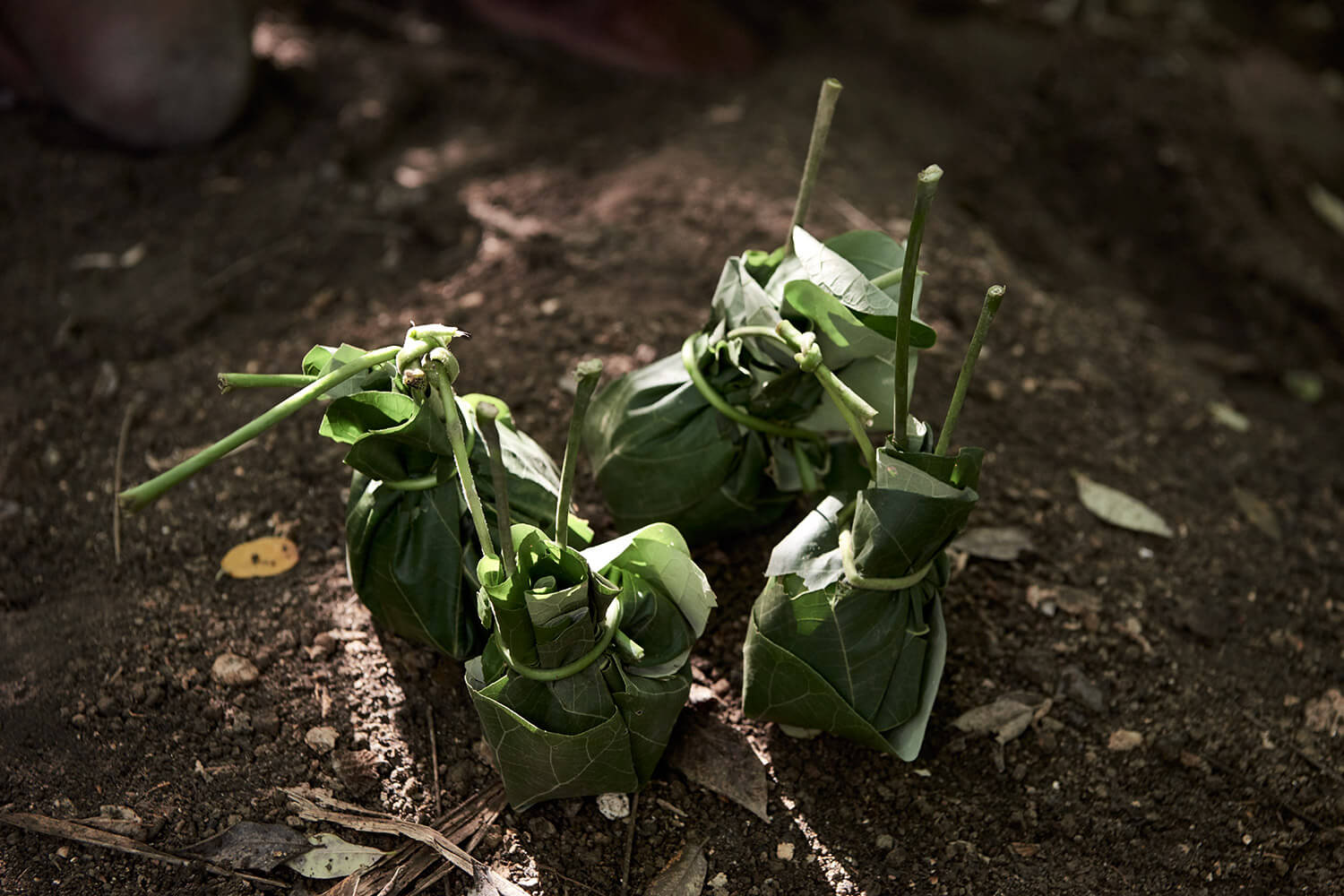 48-Megapode-Egg-Hunters-Chris-0178-Kristina-Steiner