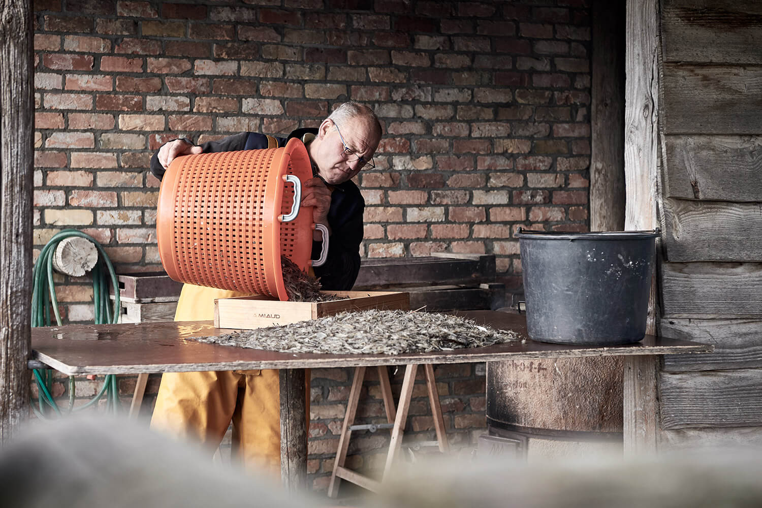 48-Paardenvissers-Stefaan-Hancke-0635-Kristina-Steiner