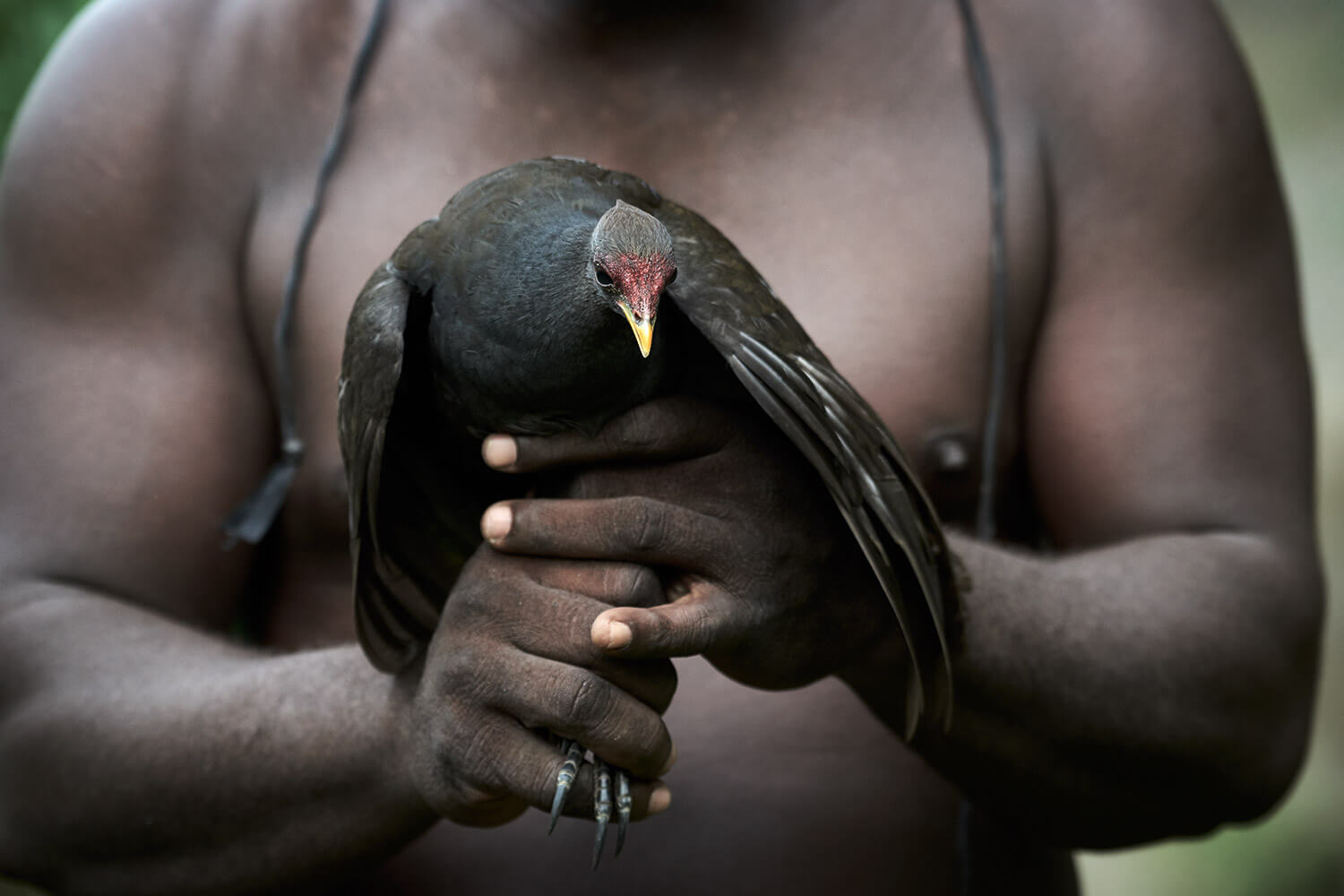 49-Megapode-Egg-Hunters-0682-Kristina-Steiner