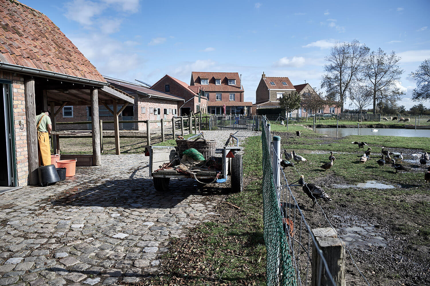 53-Paardenvissers-Stefaan-Hancke-0711-Kristina-Steiner