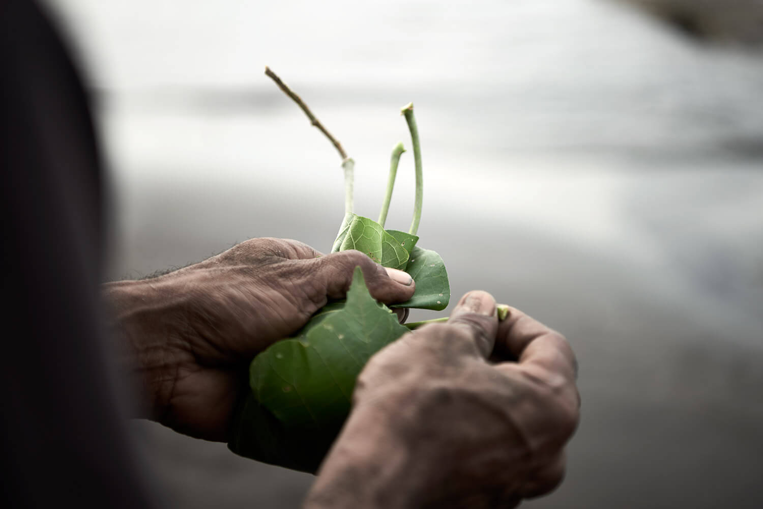 54-Megapode-Egg-Hunters-1085-Kristina-Steiner