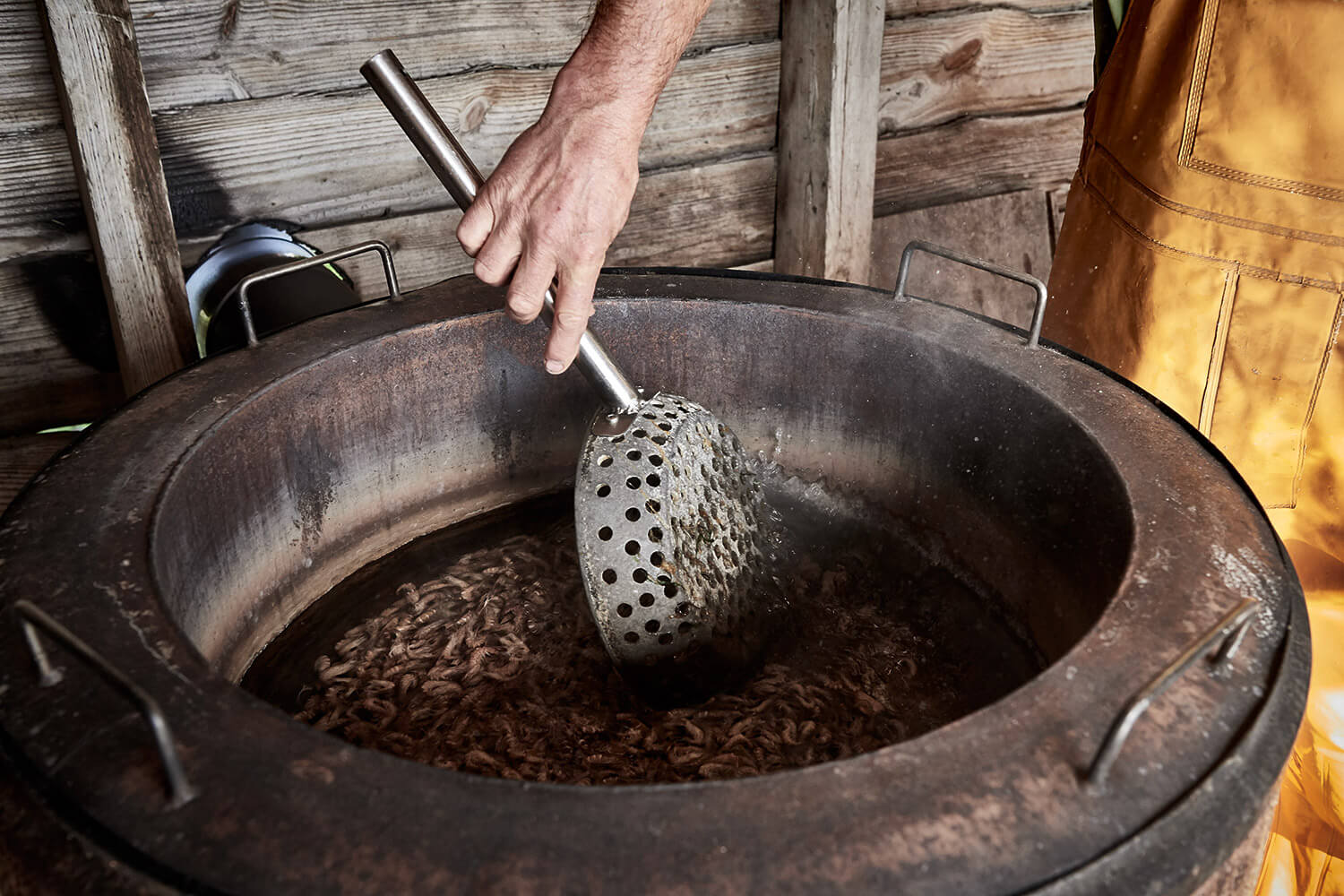 55-Paardenvissers-Stefaan-Hancke-0752-Kristina-Steiner