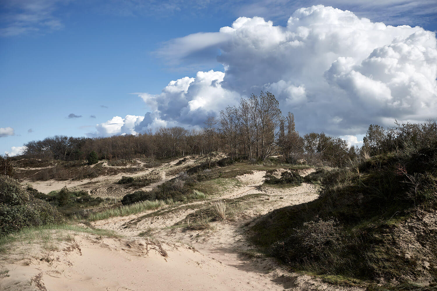 64-Paardenvissers-Oostduinkereke-Strand-0920-Kristina-Steiner