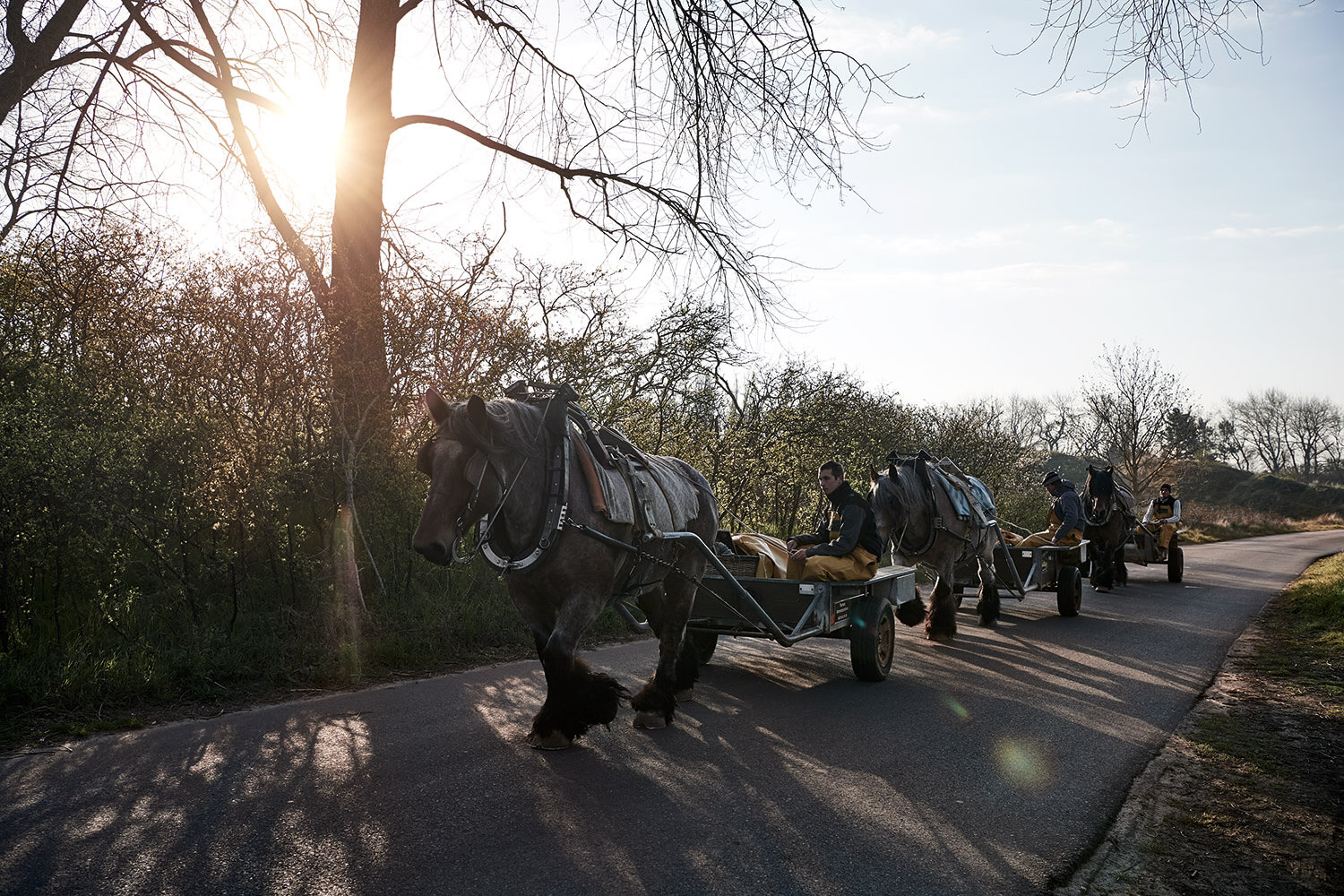 65-Paardenvissers-0019-Kristina-Steiner