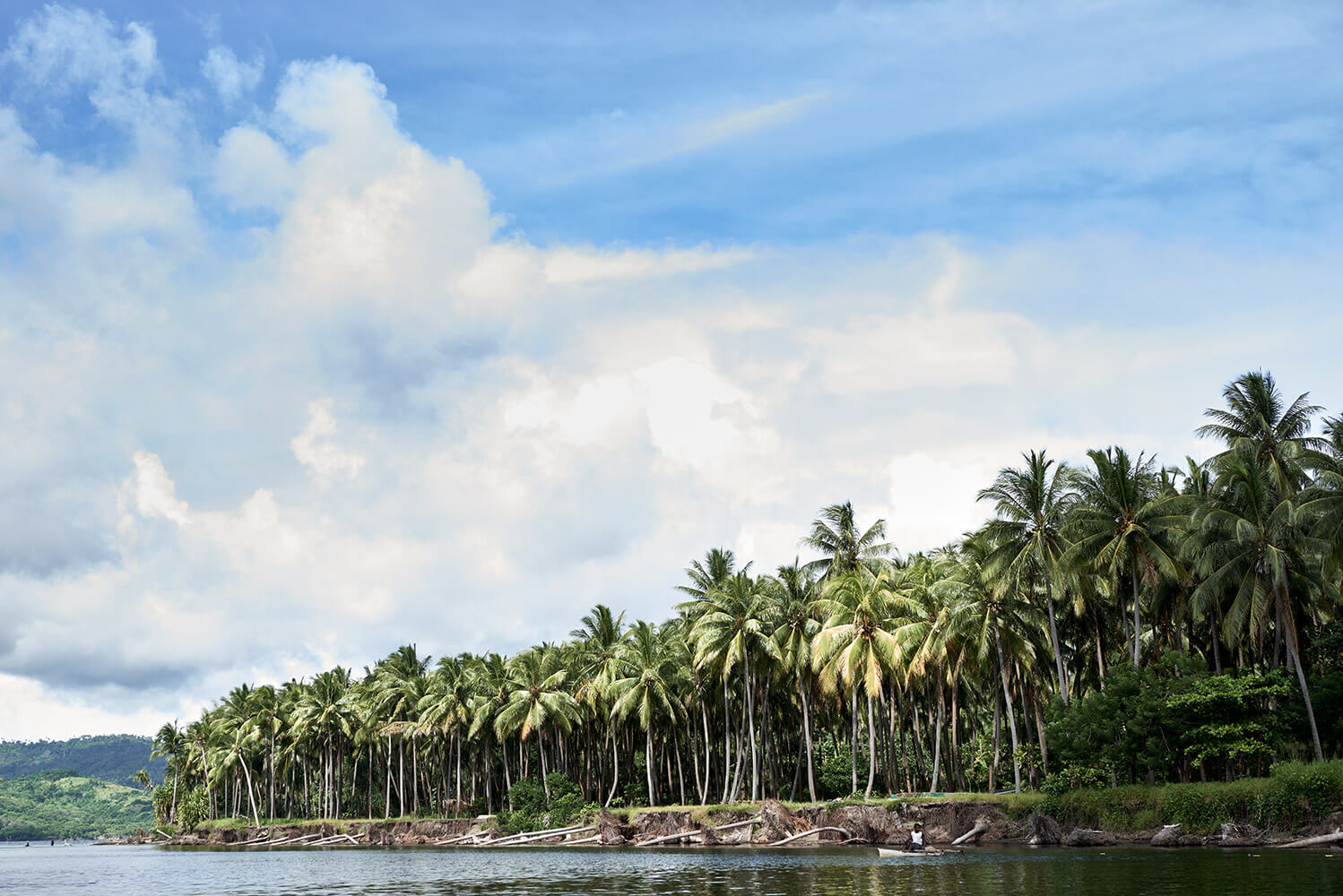 66-Megapode-Egg-Hunters-Chris-0374-Kristina-Steiner