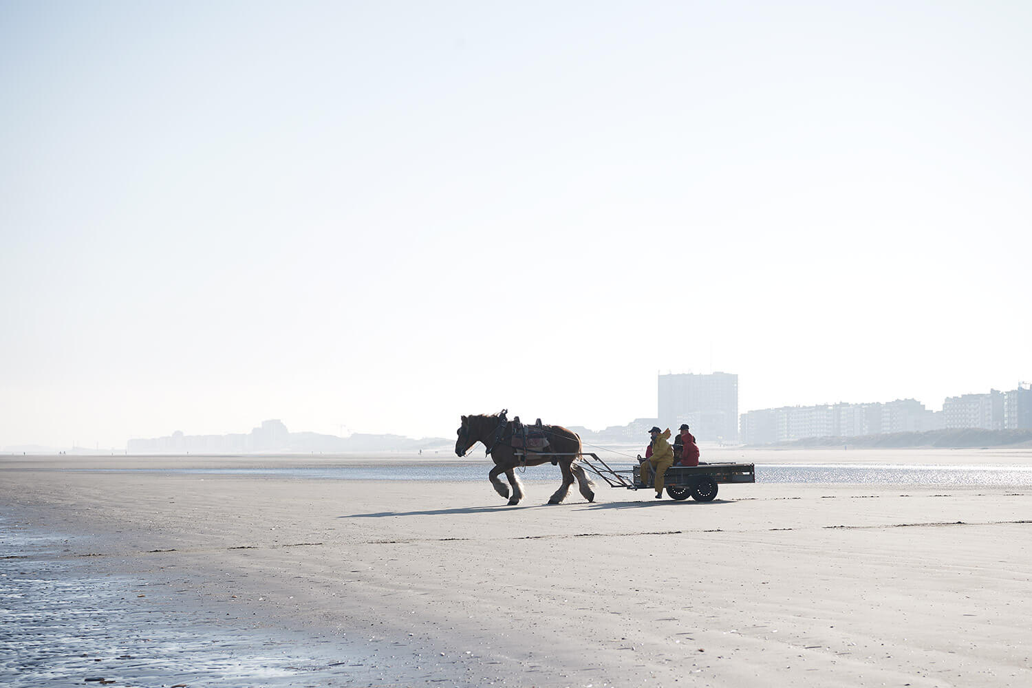 68-Paardenvissers-0076-Kristina-Steiner