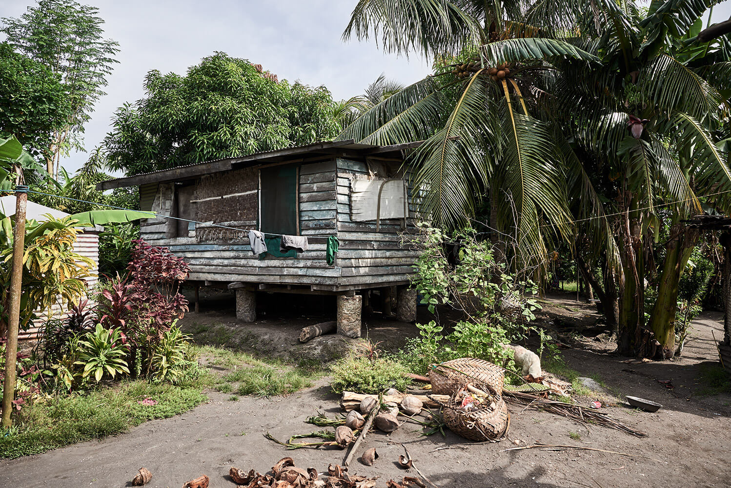 69-Megapode-Egg-Hunters-3864-Kristina-Steiner