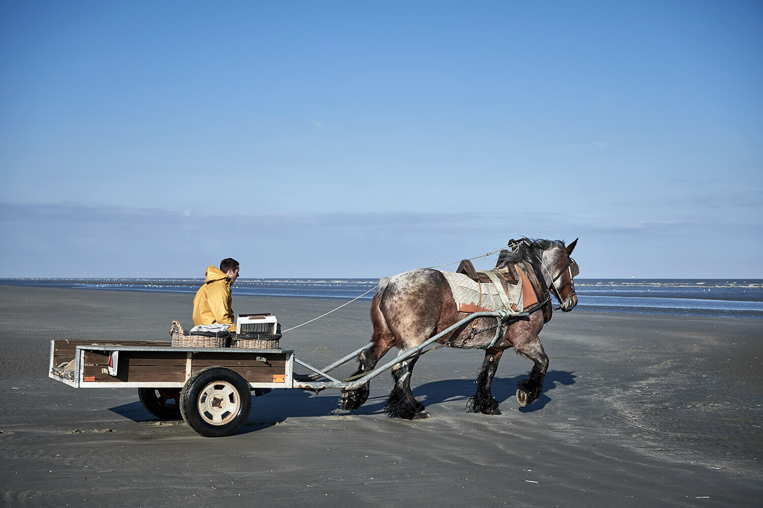 69-Paardenvissers-0071-Kristina-Steiner