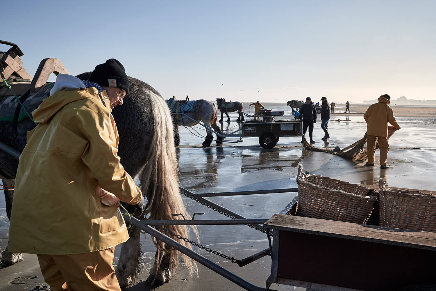 72-Paardenvissers-0098-Kristina-Steiner