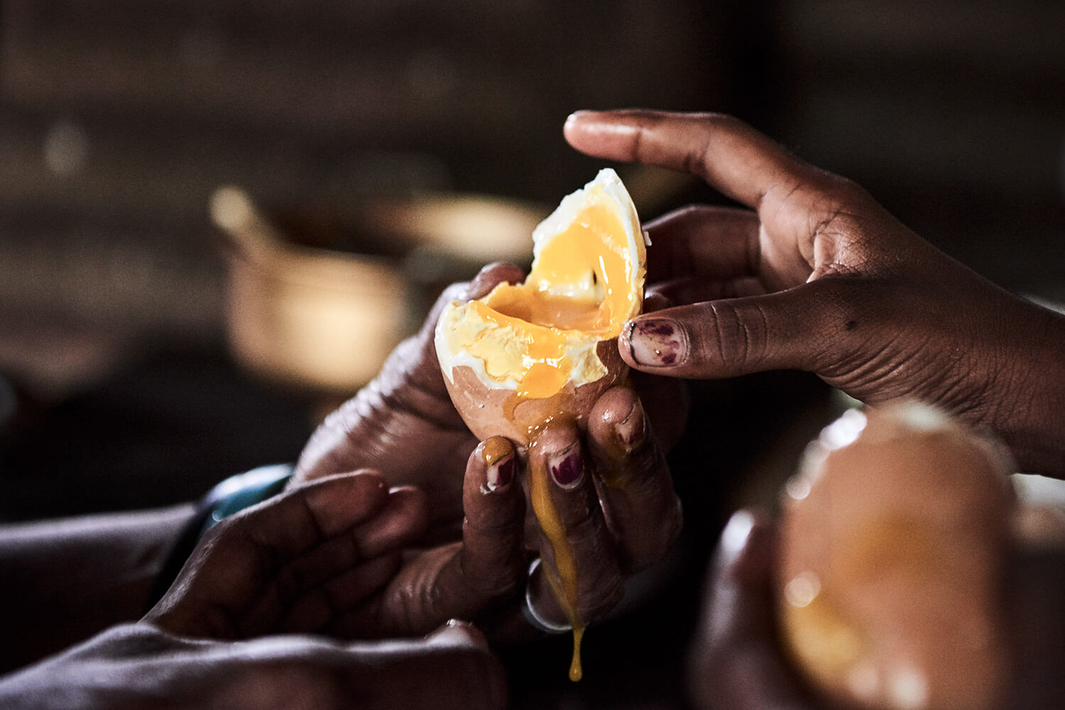 73-Megapode-Egg-Hunters-3802-Kristina-Steiner