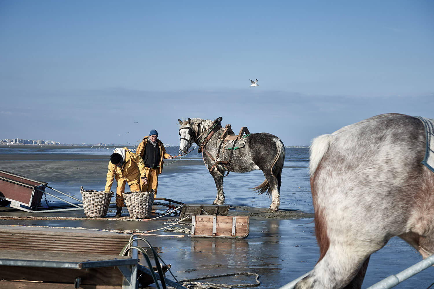 73-Paardenvissers-0109-Kristina-Steiner