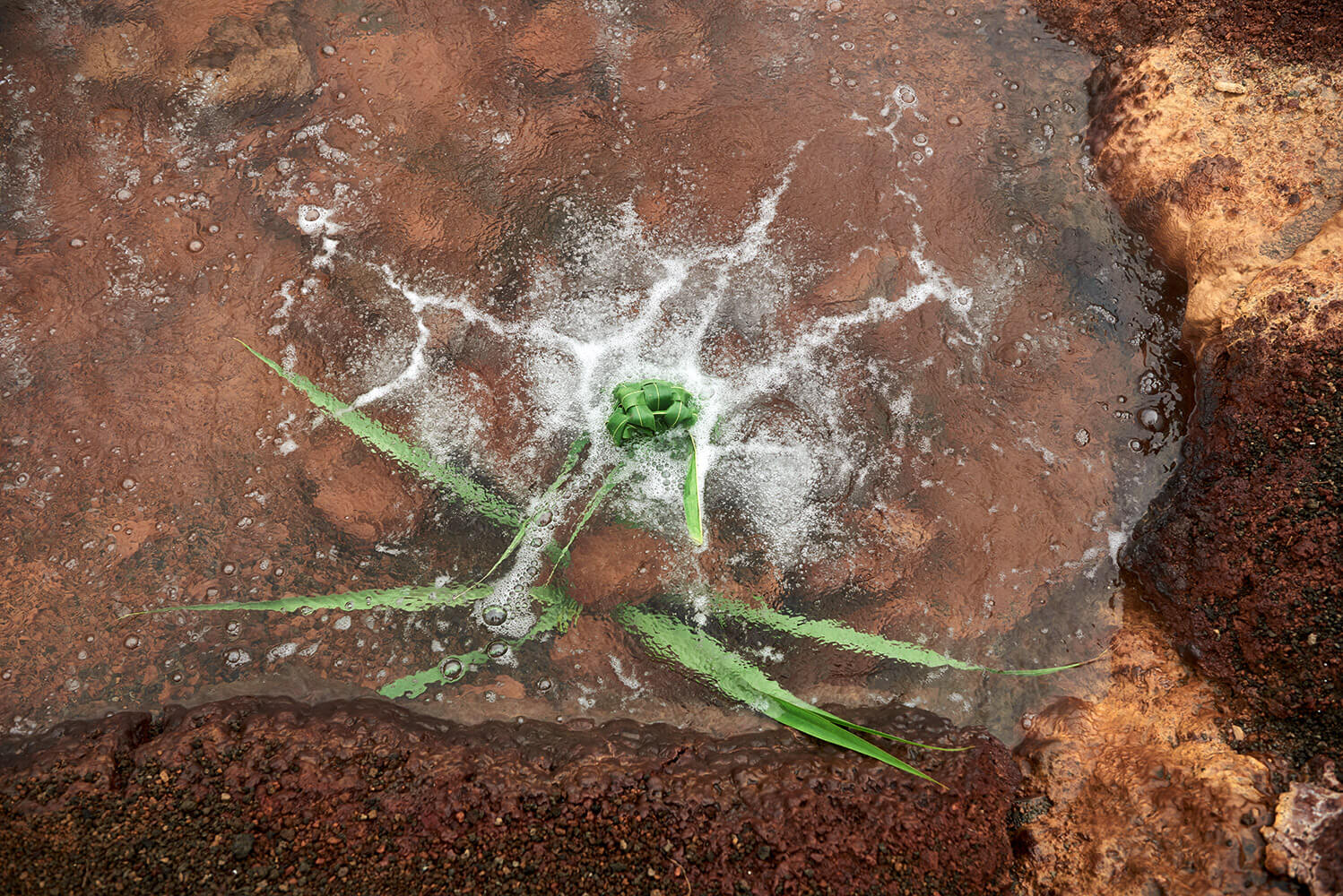 80-Megapode-Egg-Hunters-Chris-0428-Kristina-Steiner