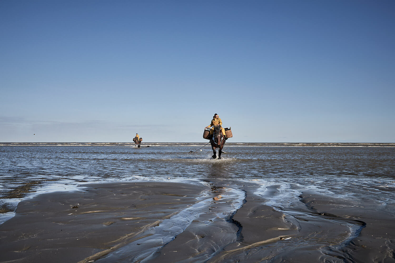 81-Paardenvissers-0202-Kristina-Steiner