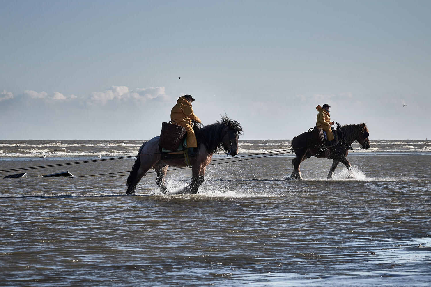 84-Paardenvissers-0200-Kristina-Steiner