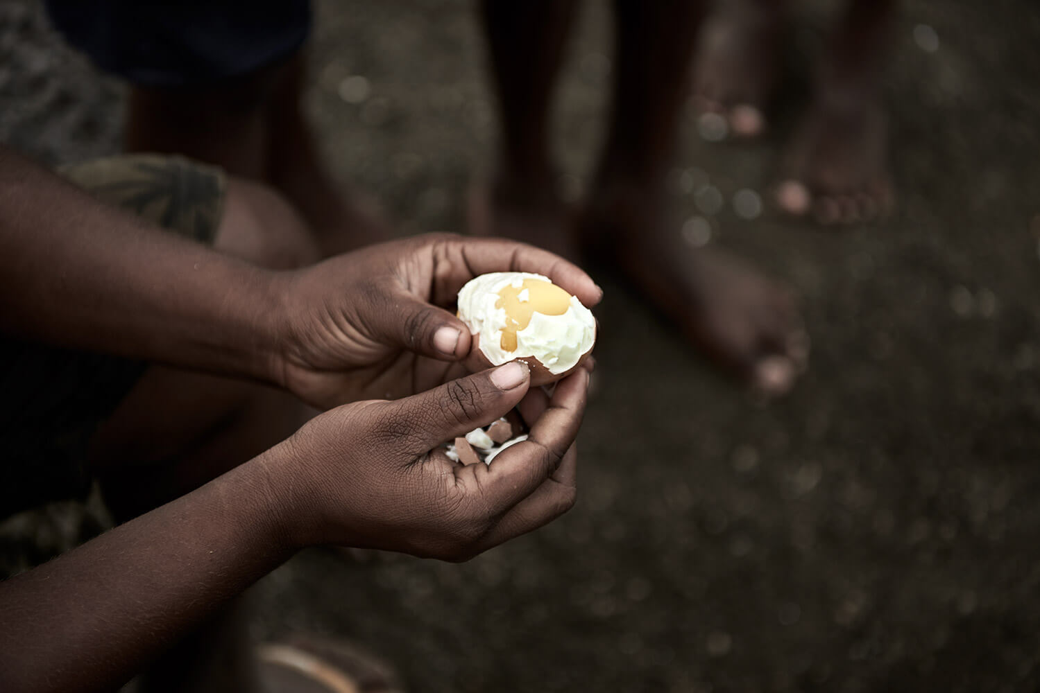 86-Megapode-Egg-Hunters-Chris-0493-Kristina-Steiner