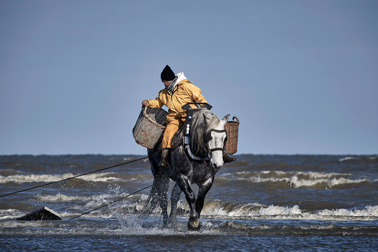 86-Paardenvissers-0178-Kristina-Steiner