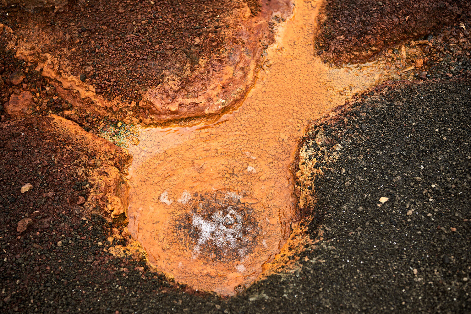 87-Megapod-Egg-Hunters-Chris-0452-Kristina-Steiner