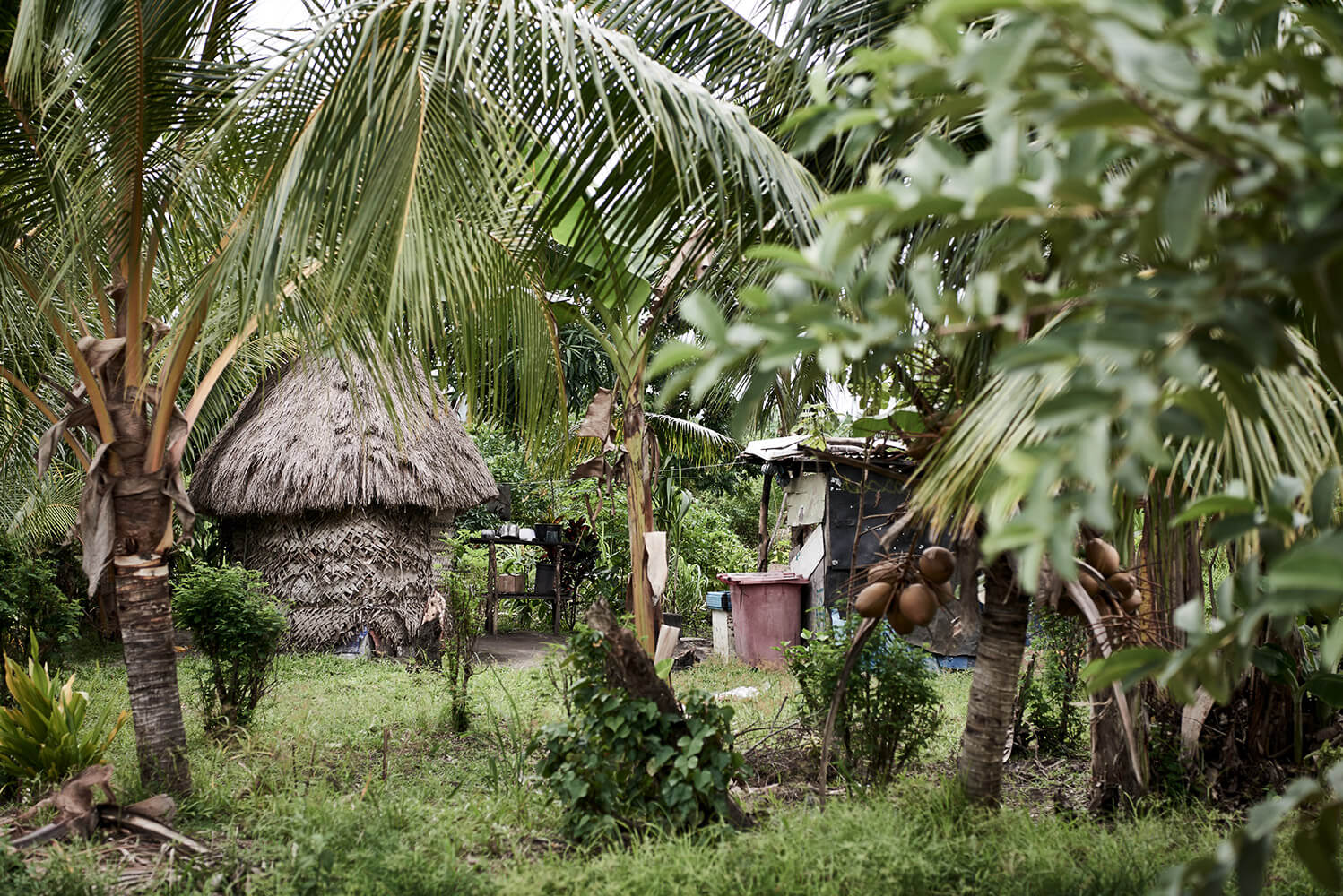 88-Megapode-Egg-Hunters-Chris-0635-Kristina-Steiner