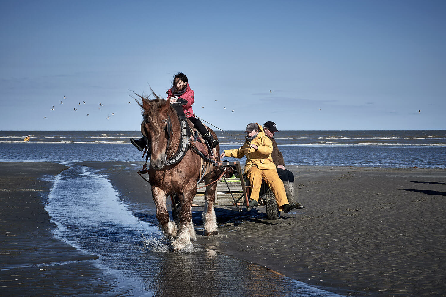 88-Paardenvissers-Nele-Bekaert-0320-Kristina-Steiner