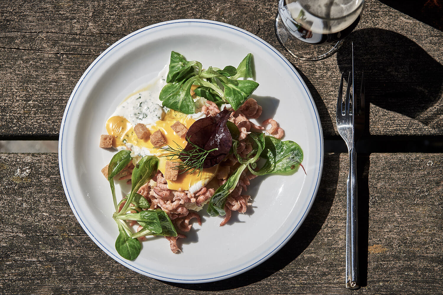 92-Paardenvissers-Bart-Lanoye-0954-Kristina-Steiner