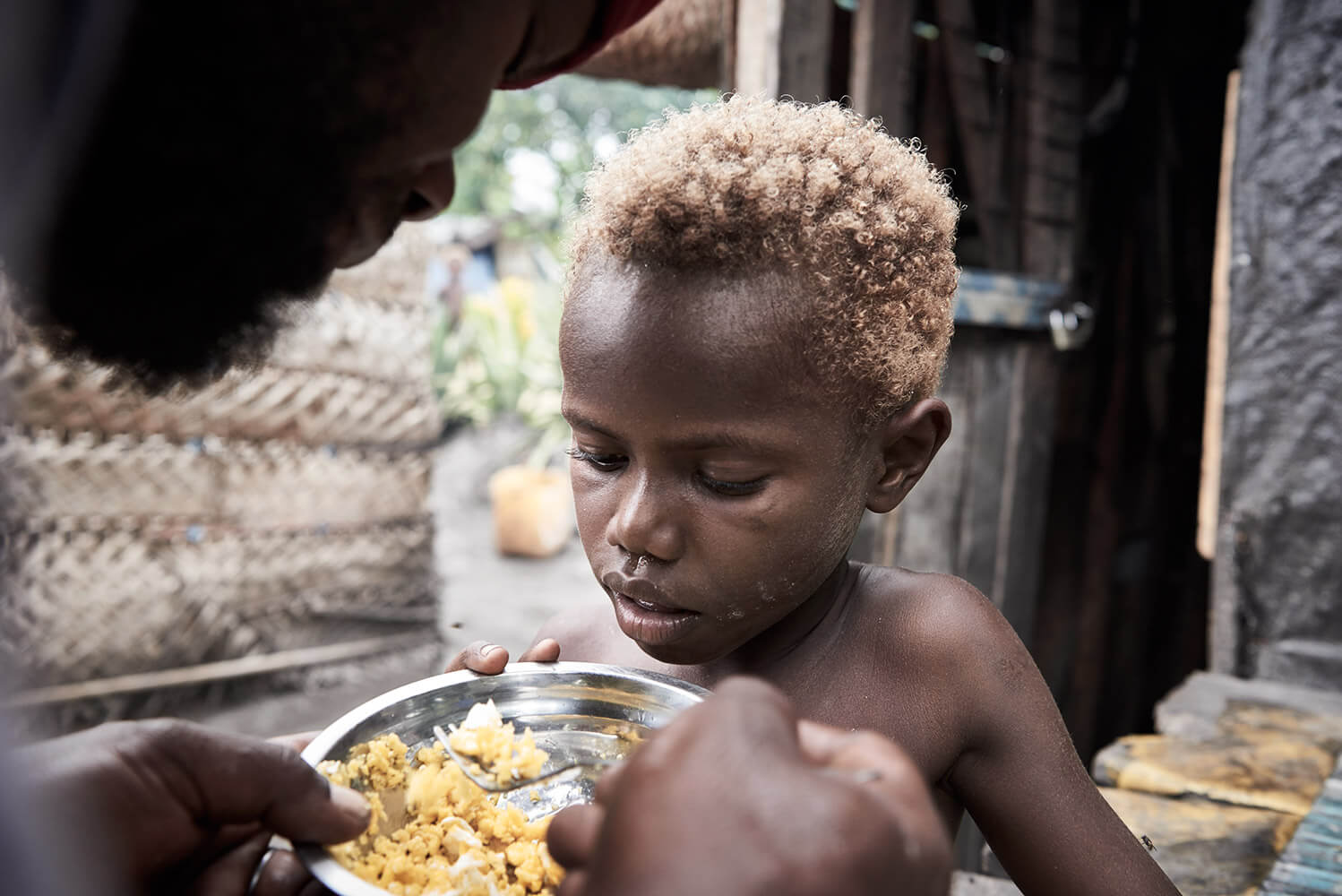 93-Megapode-Egg-Hunters-Chris-0581-Kristina-Steiner