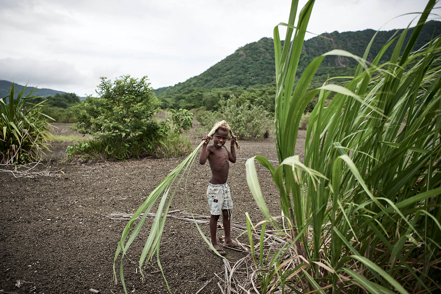 96-Megapode-Egg-Hunters-Chris-0502-Kristina-Steiner