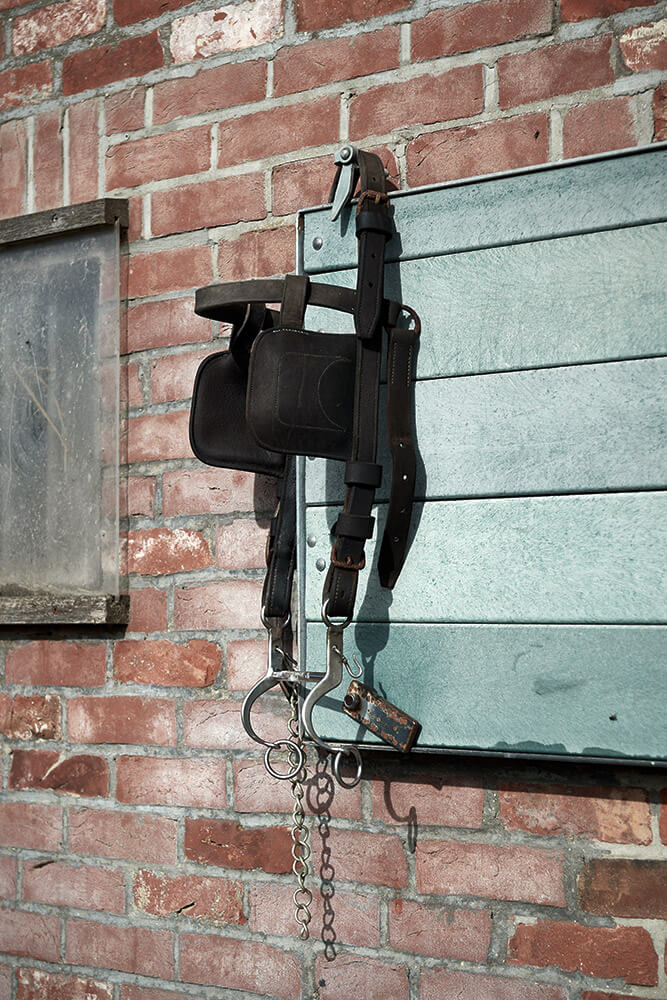 97-Paardenvissers-Stefaan-Hancke-0610-Kristina-Steiner