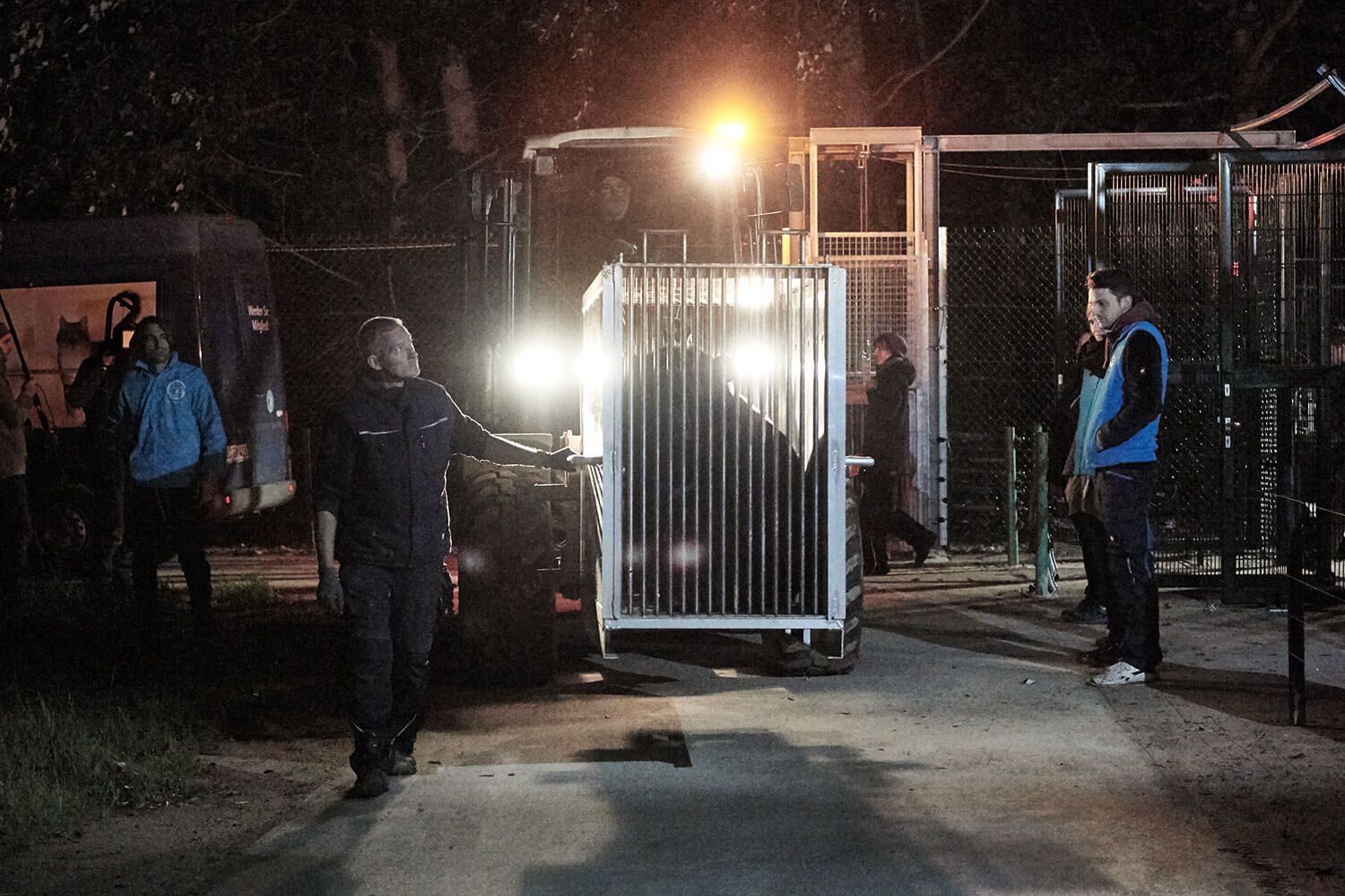 04-Bears-arrival-0589-Kristina-Steiner