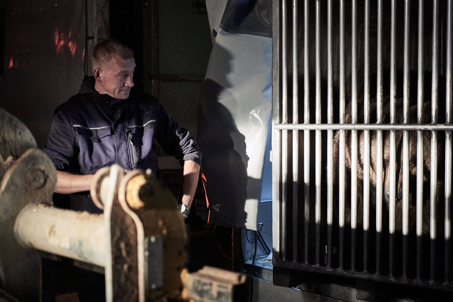 05-Bears-arrival-0504-Kristina-Steiner