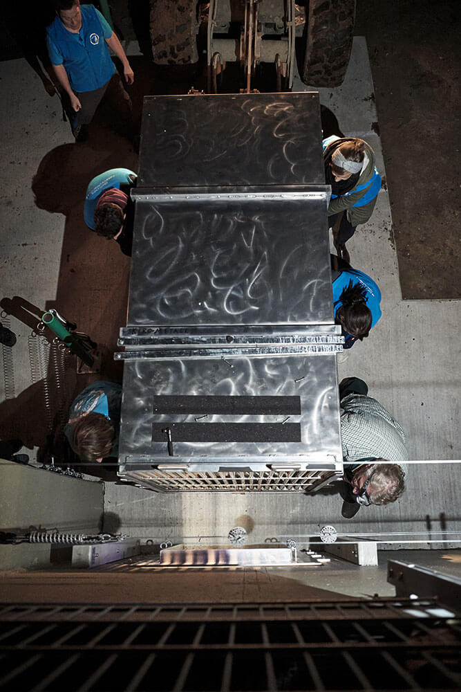 06-Bears-arrival-0412-Kristina-Steiner