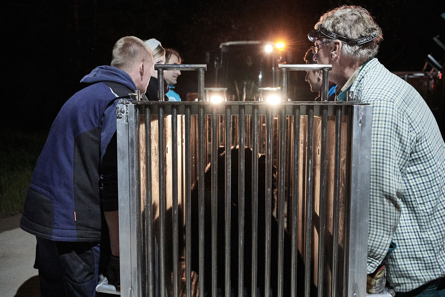 07-Bears-arrival-0601-Kristina-Steiner