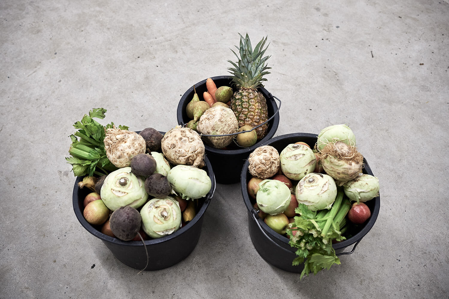 12-Bears-preparations-1904-Kristina-Steiner