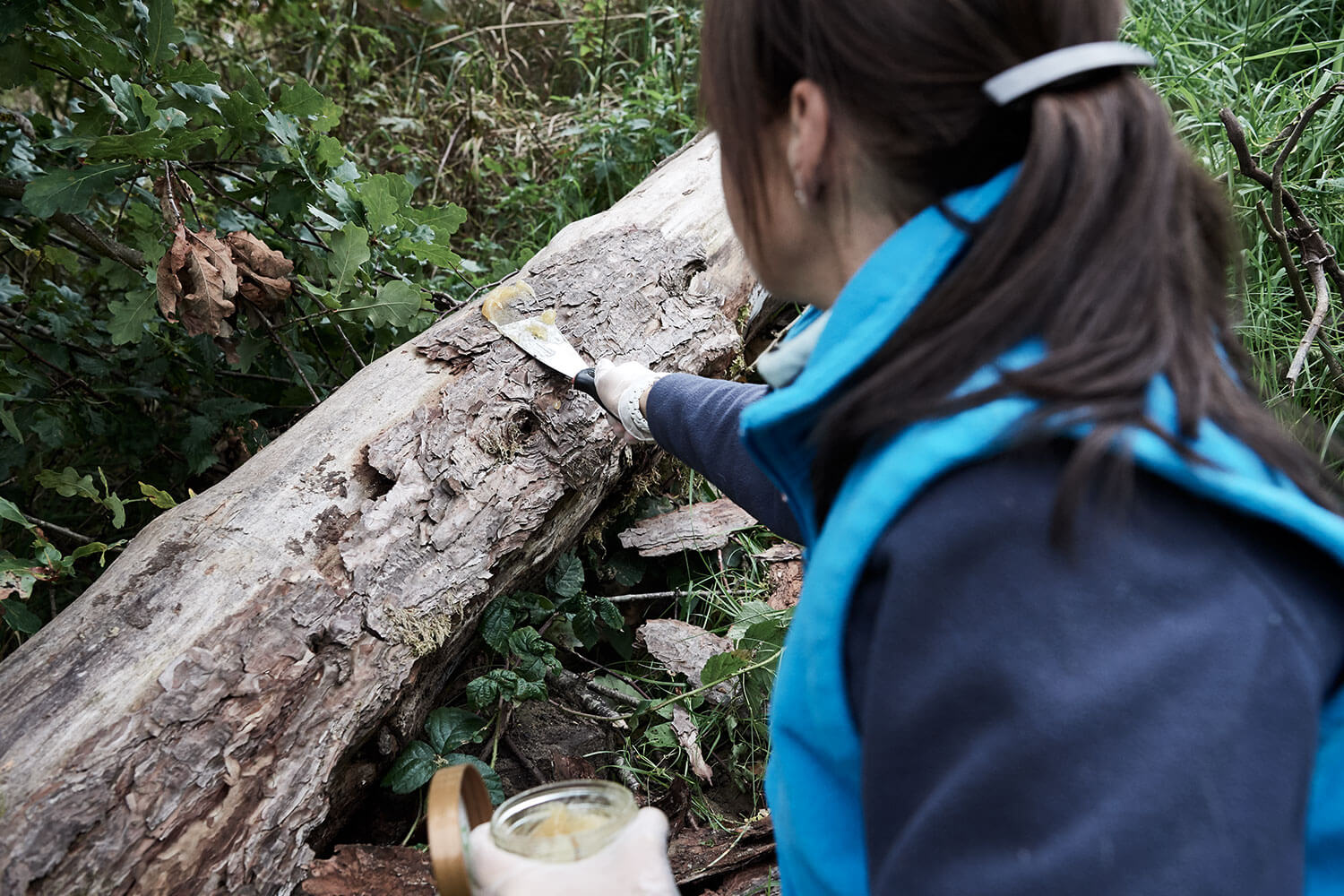 13-Bears-preparations-0777-Kristina-Steiner